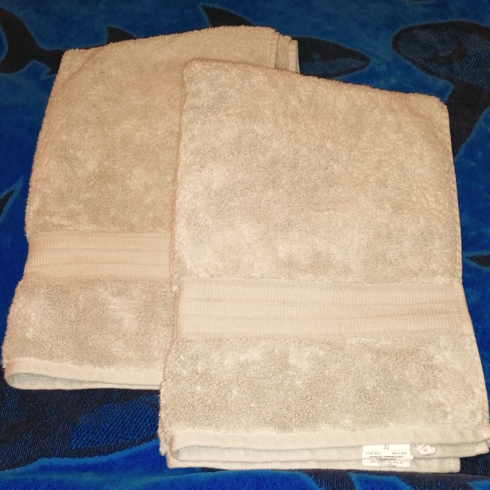 Pottery Barn Organic Hydrocotton Hand Towels (2)